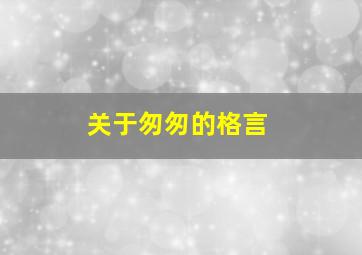 关于匆匆的格言