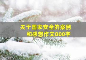 关于国家安全的案例和感想作文800字