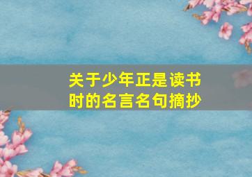 关于少年正是读书时的名言名句摘抄