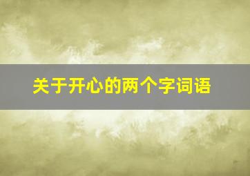 关于开心的两个字词语