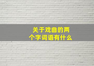 关于戏曲的两个字词语有什么