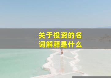 关于投资的名词解释是什么