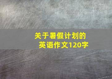 关于暑假计划的英语作文120字