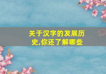 关于汉字的发展历史,你还了解哪些