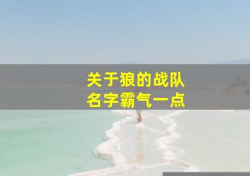 关于狼的战队名字霸气一点