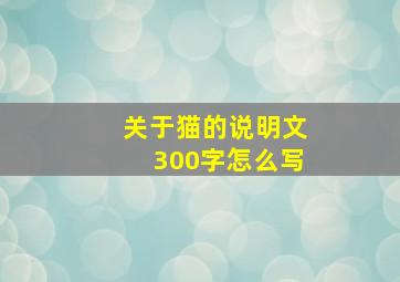 关于猫的说明文300字怎么写