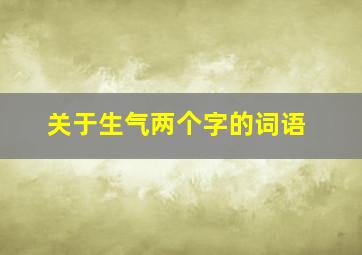 关于生气两个字的词语