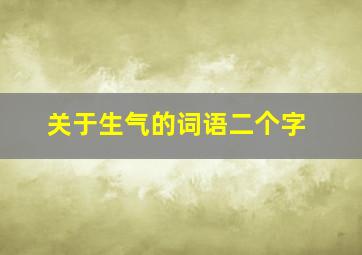 关于生气的词语二个字