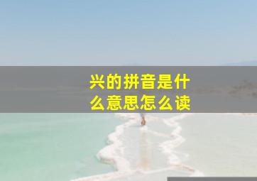 兴的拼音是什么意思怎么读