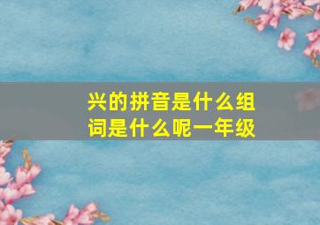 兴的拼音是什么组词是什么呢一年级