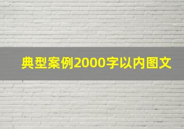 典型案例2000字以内图文