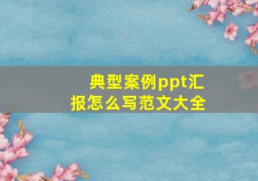 典型案例ppt汇报怎么写范文大全