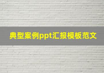 典型案例ppt汇报模板范文