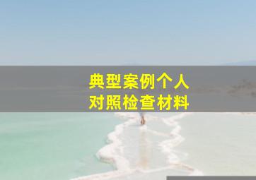 典型案例个人对照检查材料