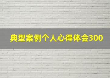 典型案例个人心得体会300