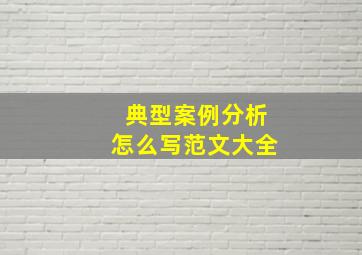 典型案例分析怎么写范文大全