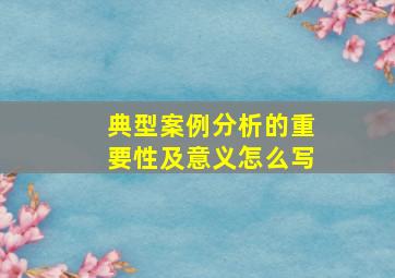 典型案例分析的重要性及意义怎么写