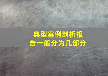 典型案例剖析报告一般分为几部分