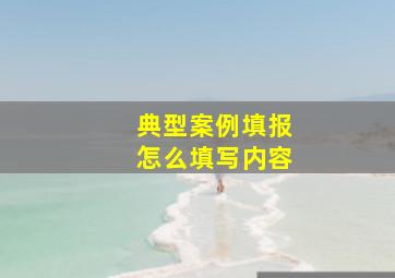 典型案例填报怎么填写内容