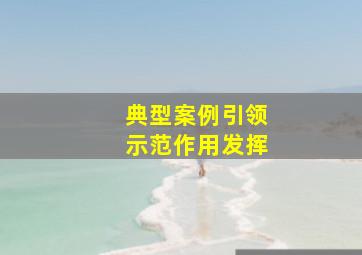 典型案例引领示范作用发挥