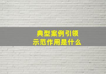 典型案例引领示范作用是什么