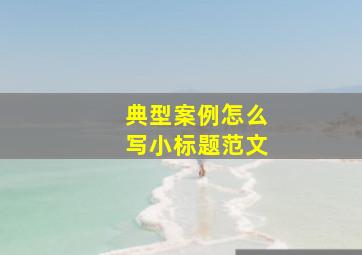 典型案例怎么写小标题范文