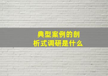 典型案例的剖析式调研是什么