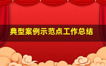 典型案例示范点工作总结