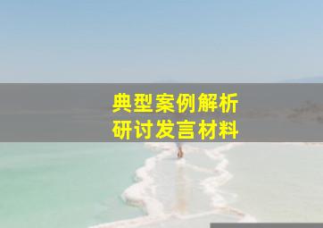 典型案例解析研讨发言材料