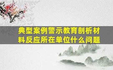 典型案例警示教育剖析材料反应所在单位什么问题