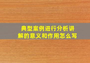 典型案例进行分析讲解的意义和作用怎么写