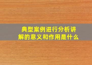 典型案例进行分析讲解的意义和作用是什么