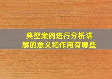 典型案例进行分析讲解的意义和作用有哪些