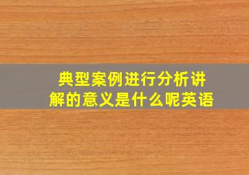 典型案例进行分析讲解的意义是什么呢英语