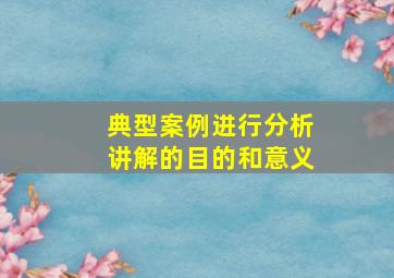 典型案例进行分析讲解的目的和意义