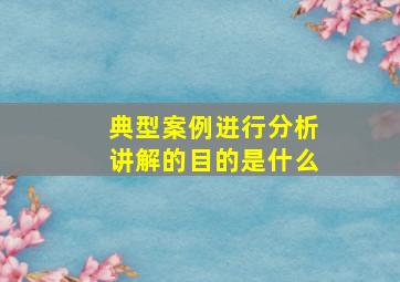 典型案例进行分析讲解的目的是什么