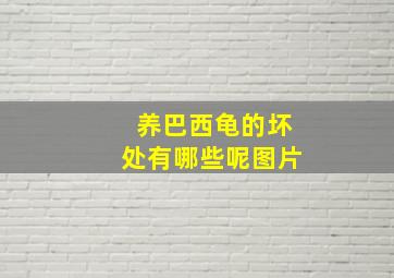 养巴西龟的坏处有哪些呢图片