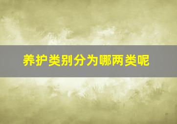 养护类别分为哪两类呢