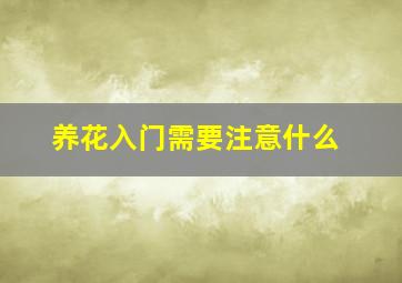 养花入门需要注意什么