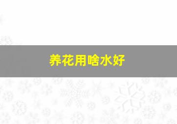 养花用啥水好