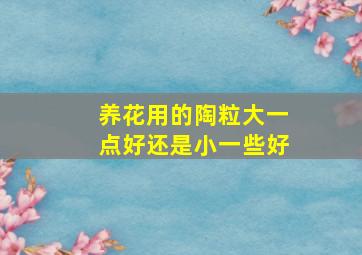 养花用的陶粒大一点好还是小一些好