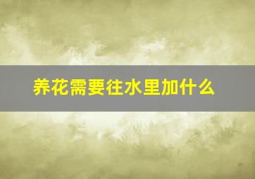 养花需要往水里加什么