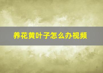 养花黄叶子怎么办视频