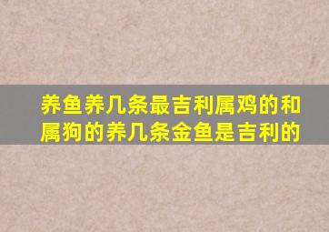 养鱼养几条最吉利属鸡的和属狗的养几条金鱼是吉利的