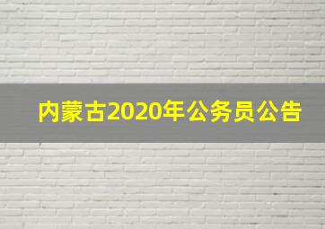 内蒙古2020年公务员公告