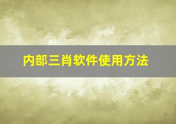 内部三肖软件使用方法