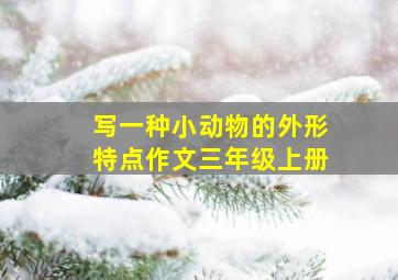 写一种小动物的外形特点作文三年级上册