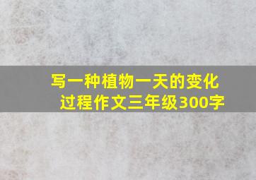 写一种植物一天的变化过程作文三年级300字