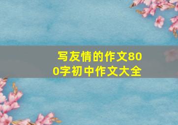 写友情的作文800字初中作文大全