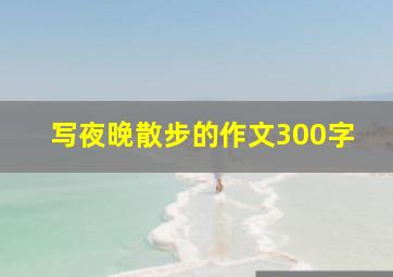 写夜晚散步的作文300字